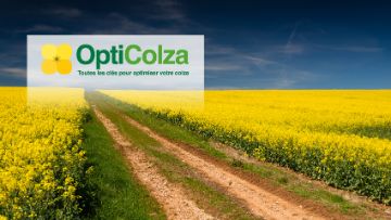 opticolza